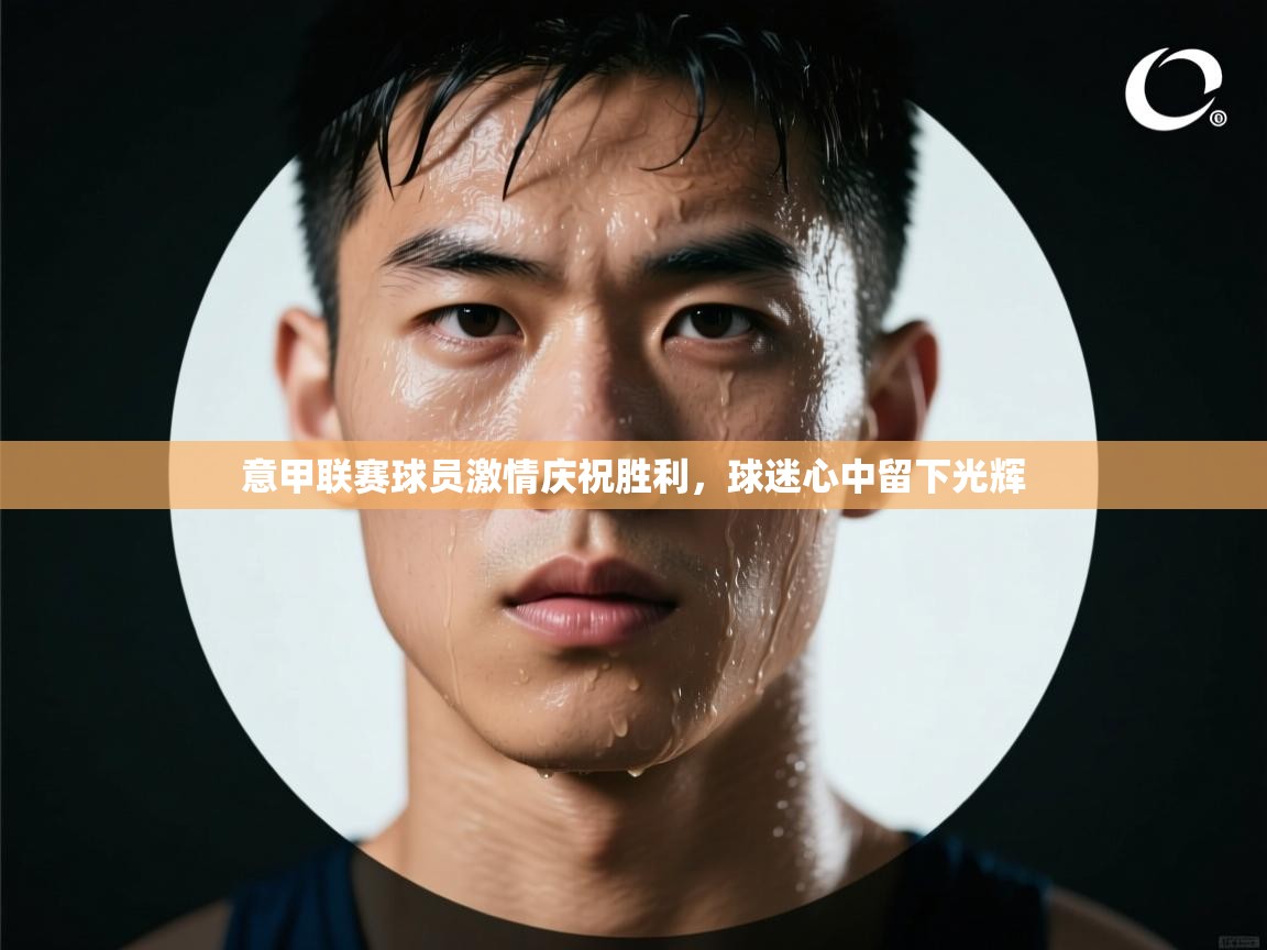 意甲联赛球员激情庆祝胜利,球迷心中留下光辉 第1张